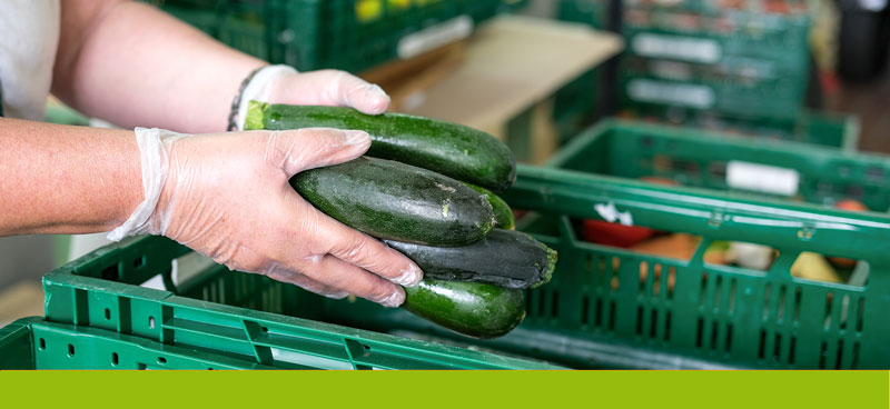 Frau legt Gemüse in eine Kiste - Foto: redaktion93 / AdobeStock